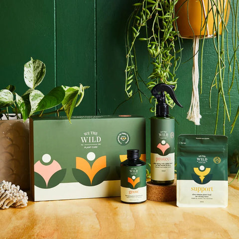 Essential Plant Care Kit + Gift Box