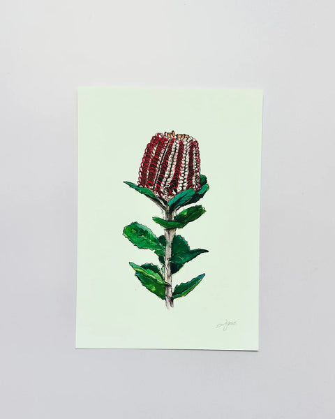 Coccinea Giclée Print A3 - Emma Morgan