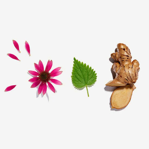 Immunity Love Tea Loose Leaf